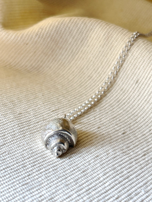 Sterling Silver Shell Necklace on a chain