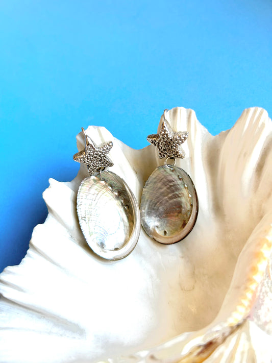 Silver Starfish Shell Earrings